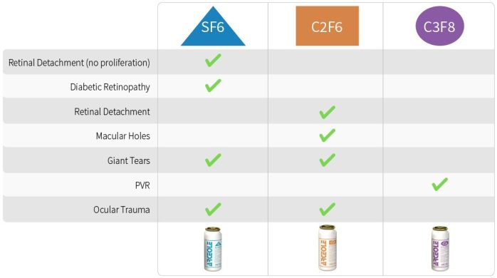 Ophthalmic gaz arceole choice 70 2